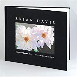 Brian Davis Artist